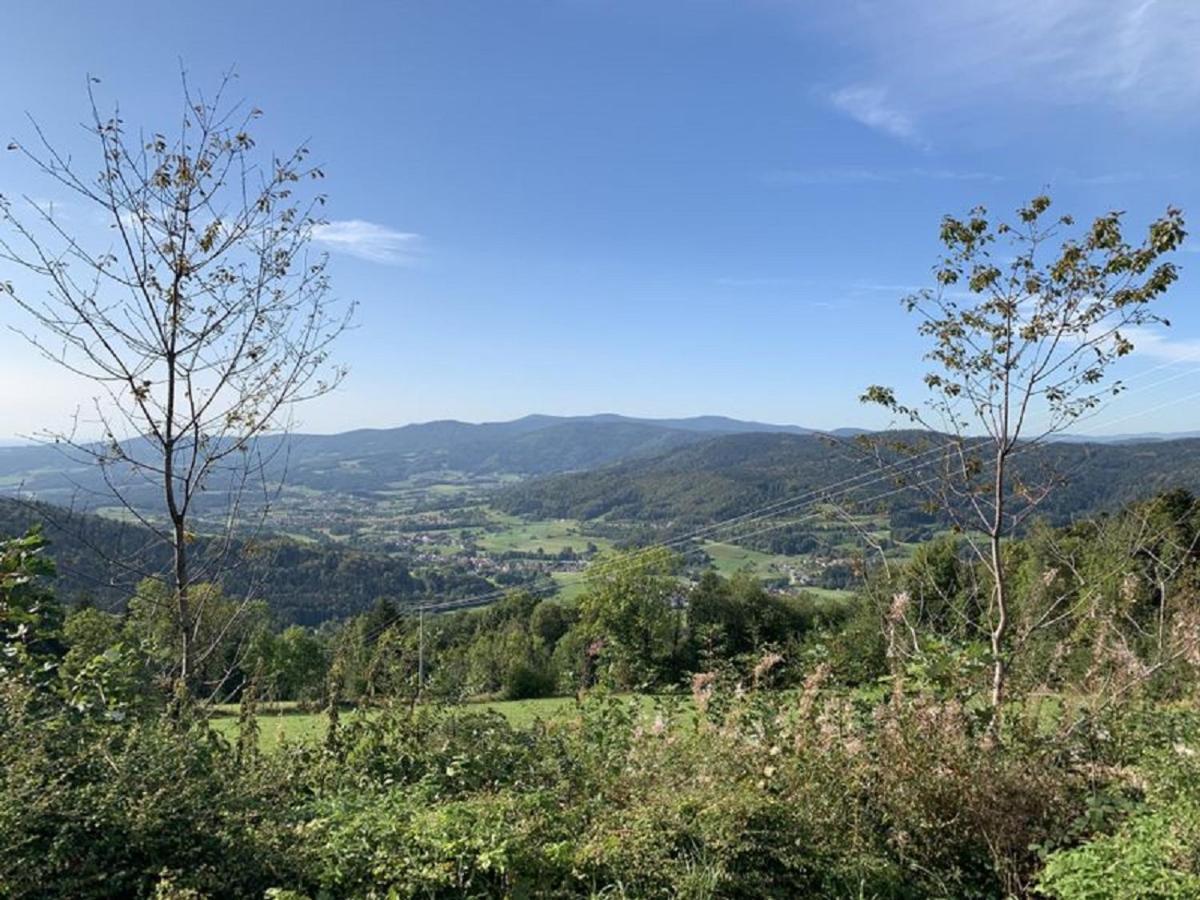 Ferienland Sonnenwald Fewo 46 Und Studio 50 In Schoefweg Bayerischer Wald מראה חיצוני תמונה