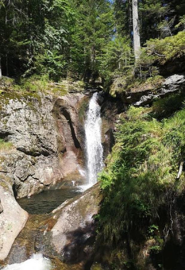 Ferienland Sonnenwald Fewo 46 Und Studio 50 In Schoefweg Bayerischer Wald מראה חיצוני תמונה