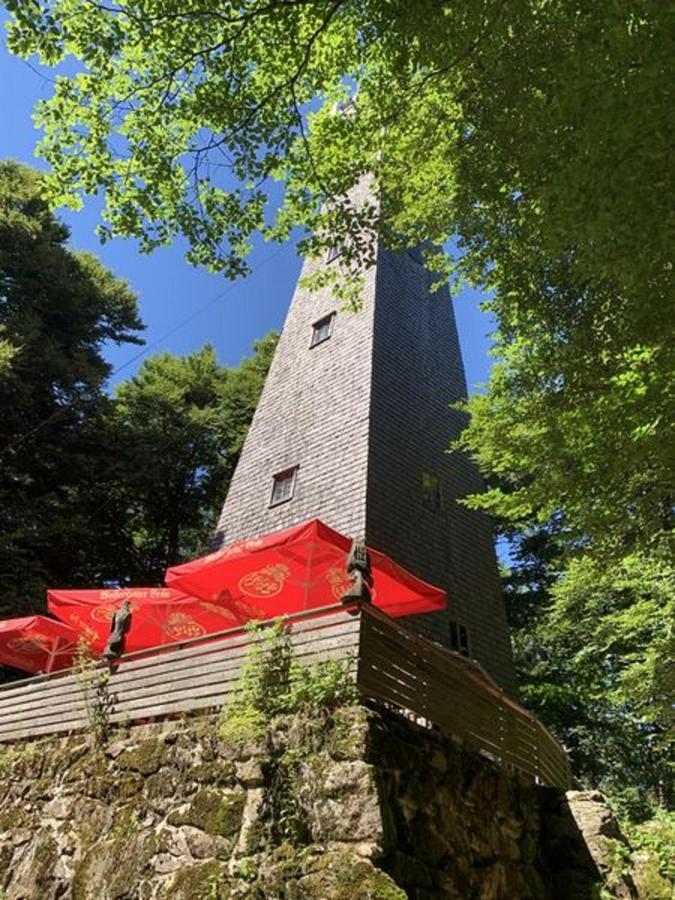 Ferienland Sonnenwald Fewo 46 Und Studio 50 In Schoefweg Bayerischer Wald מראה חיצוני תמונה