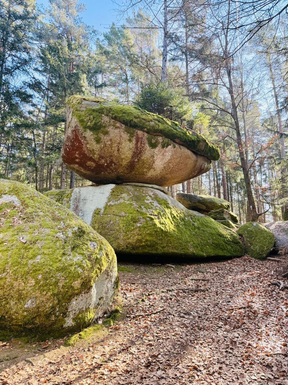 Ferienland Sonnenwald Fewo 46 Und Studio 50 In Schoefweg Bayerischer Wald מראה חיצוני תמונה