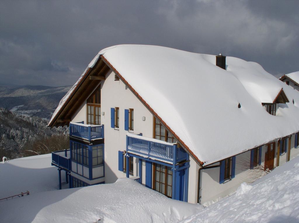 Ferienland Sonnenwald Fewo 46 Und Studio 50 In Schoefweg Bayerischer Wald מראה חיצוני תמונה